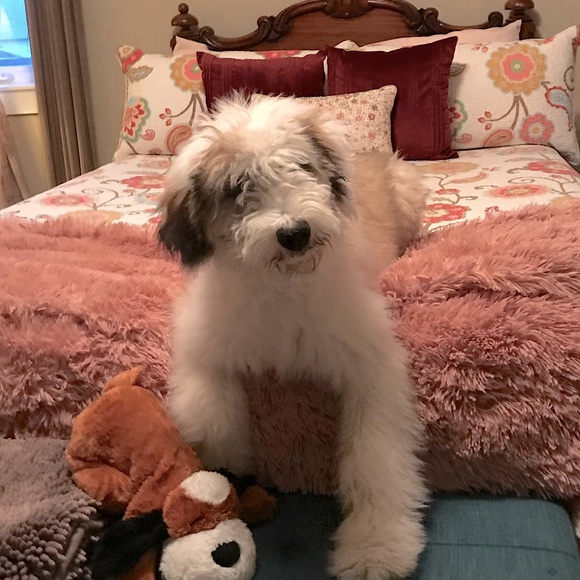 Meet your Posher, Hayley - Picture 14 of 16